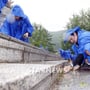 8번째 이미지