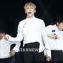 31번째 이미지