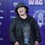 11번째 이미지