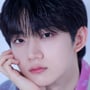 5번째 이미지