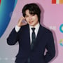 29번째 이미지