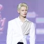 32번째 이미지