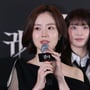 41번째 이미지