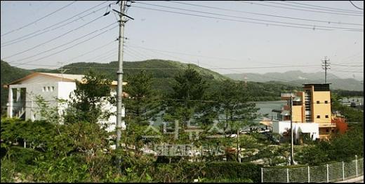 사진