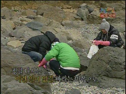 사진