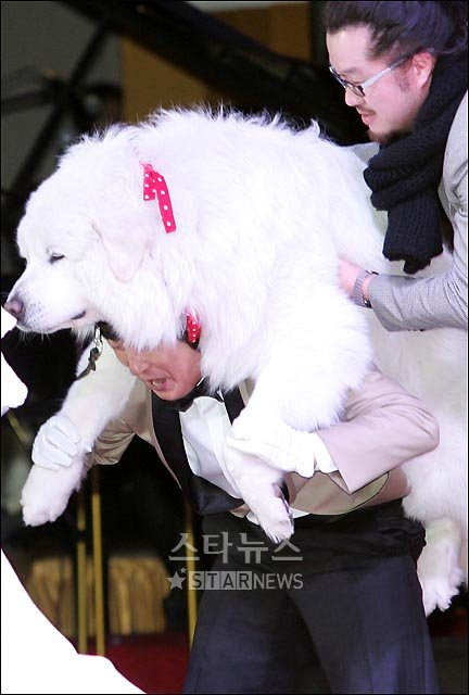 사진
