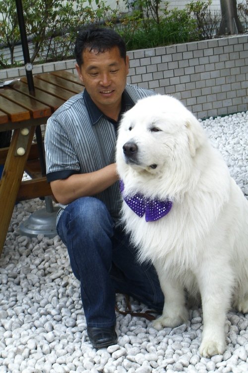 사진