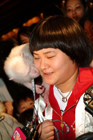 사진