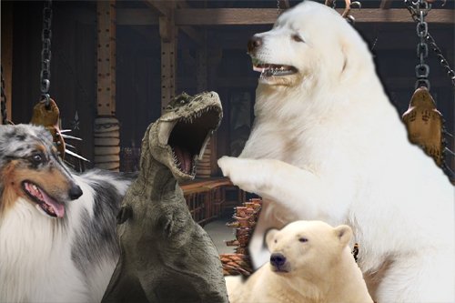사진