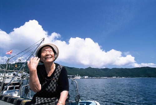 사진