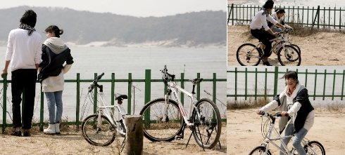 사진