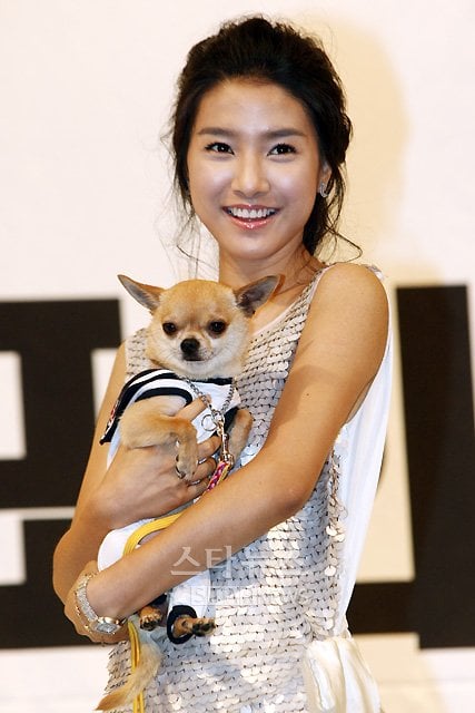 사진