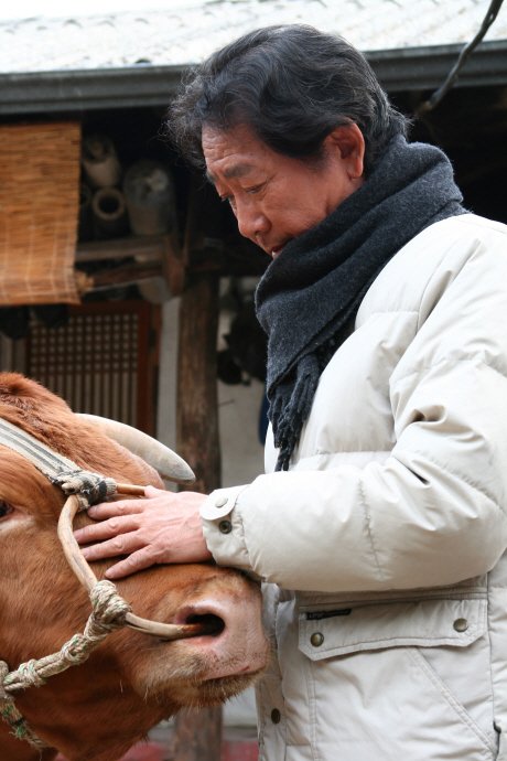 사진