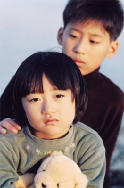 사진