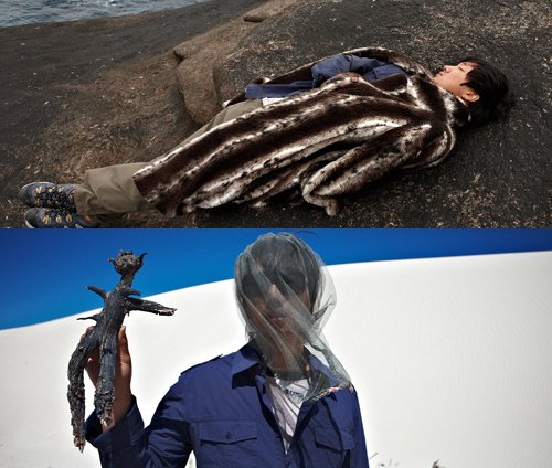 사진