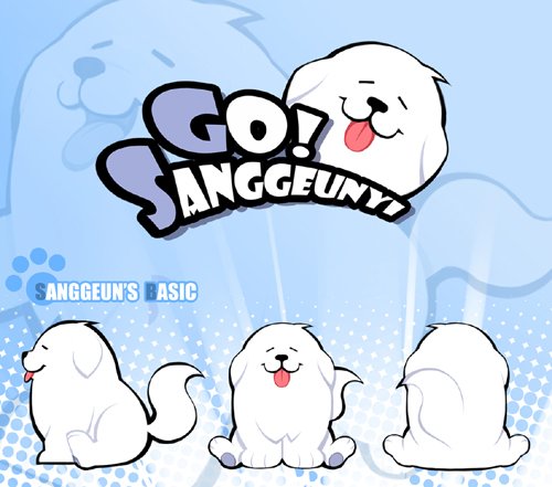사진