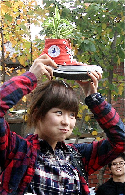 사진