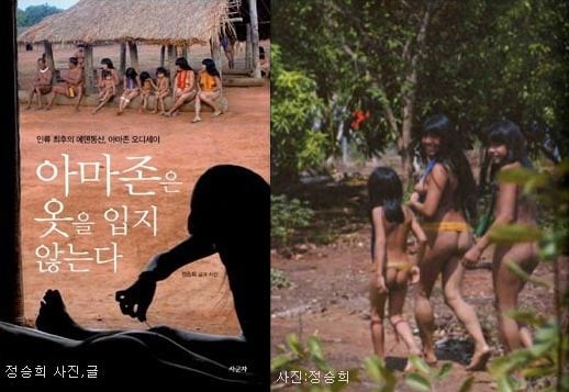 사진
