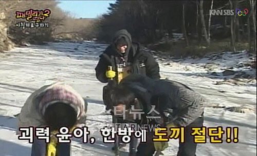 사진