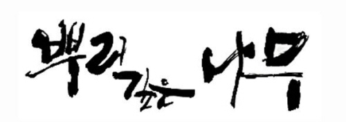 사진