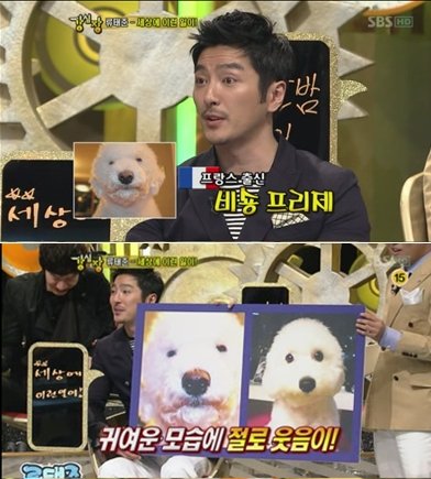 사진