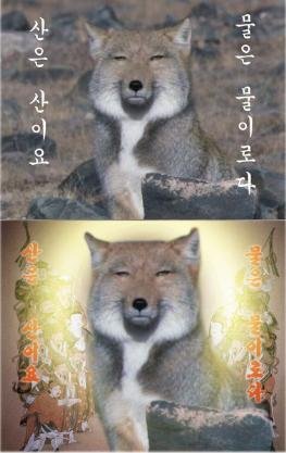 사진