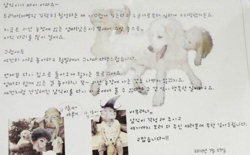 사진
