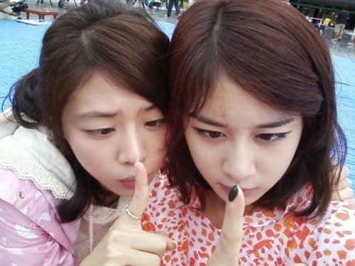 사진