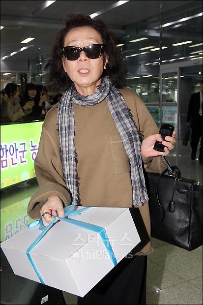 사진