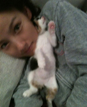 가수 이효리와 유기된 고양이.<사진=효리투게더>