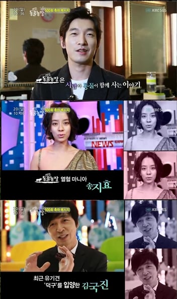사진