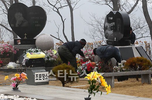 사진