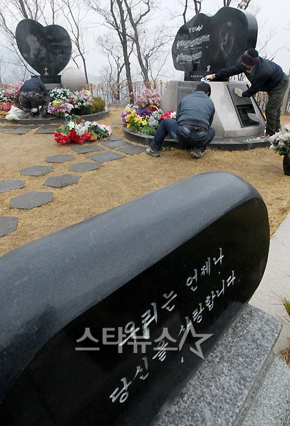 사진