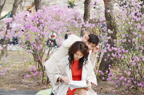 사진