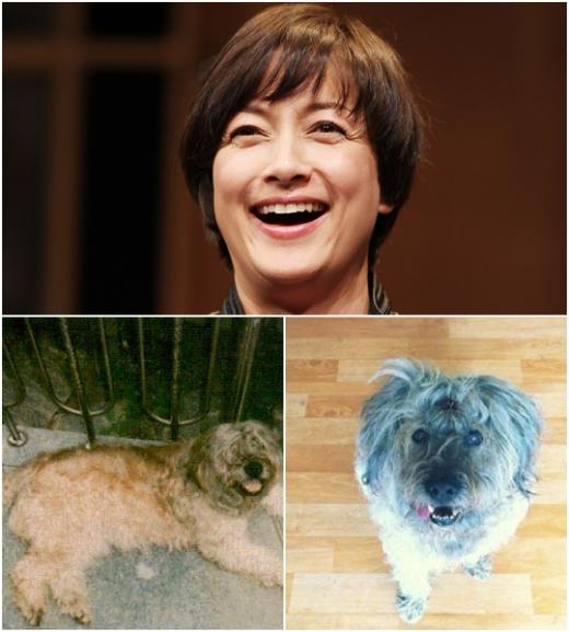 박칼린(위), 박칼린의 애견 해태ⓒ머니투데이 스타뉴스, (위)박칼린 트위터
