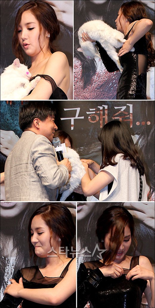 사진