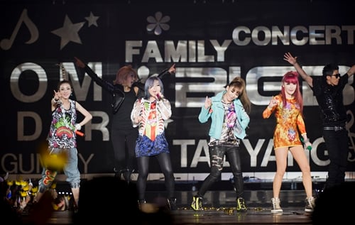 2NE1 ⓒ사진=YG엔터테인먼트 제공