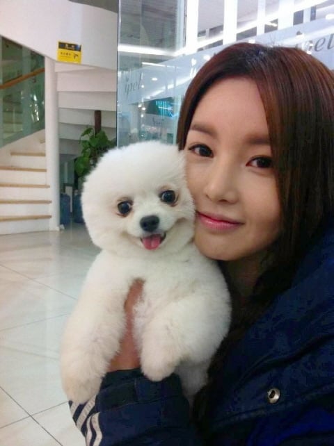 사진