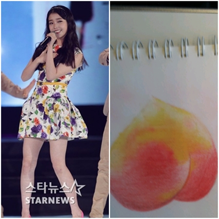 아이유ⓒ사진=스타뉴스,아이유 트위터