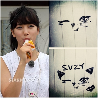 수지ⓒ사진=스타뉴스 임성균 기자,수지 트위터