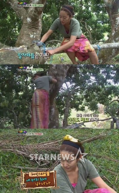 사진