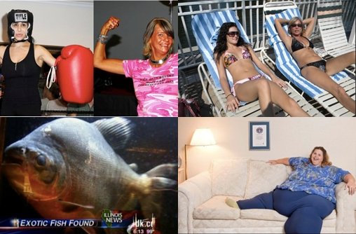 2012's Top 10 Weird News Stories TOP4,5 ⓒ허핑턴 포스트