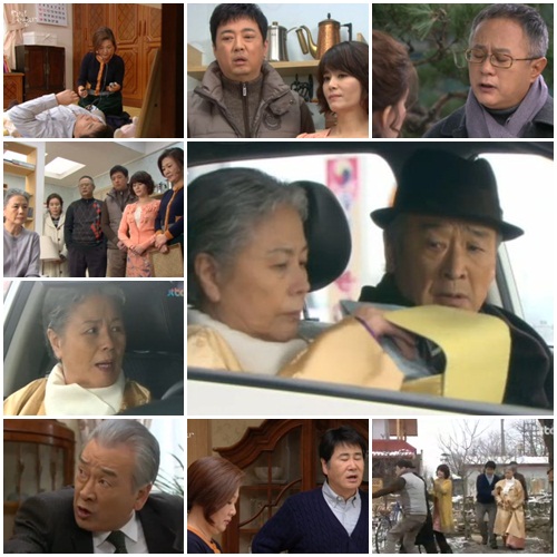 ⓒJTBC '무자식 상팔자' 방송화면