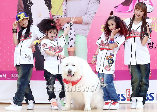 사진