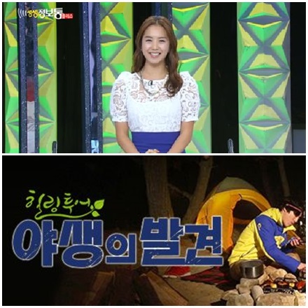 (아래방향) 생생정보통 플러스, 힐링투어 야생의 발견/사진=KBS