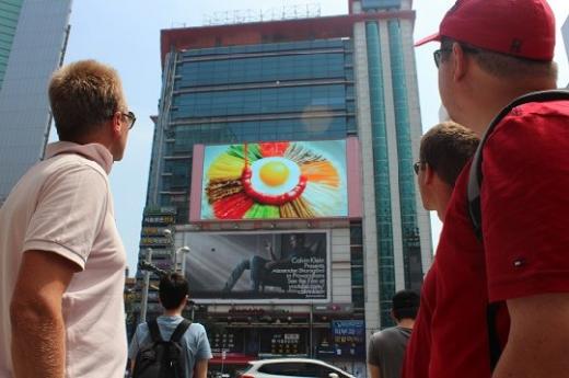 비빔밥 월드투어 광고/사진=서경덕 교수