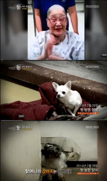 고 황정순 강아지 / 사진=방송화면 캡처