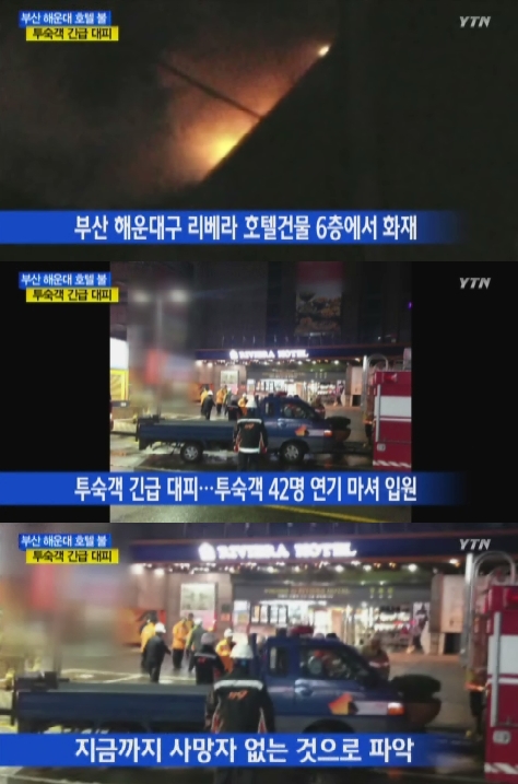 /사진=YTN 뉴스 방송화면