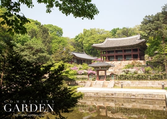 창덕궁 후원, /사진=시가든 제공