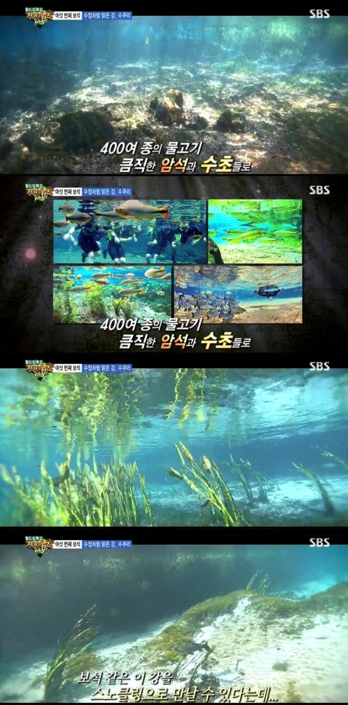 /사진=SBS '정글의 법칙' 방송장면